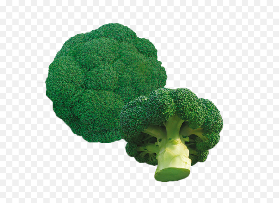 Download Sprouting Broccoli - Full Size Png Image Pngkit Vegetable,Broccoli Png