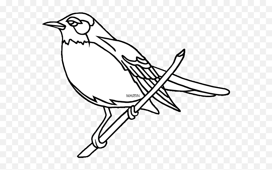 Michigan Outline Drawing - Clipart Best Color Michigan State Bird Png,Michigan Outline Transparent