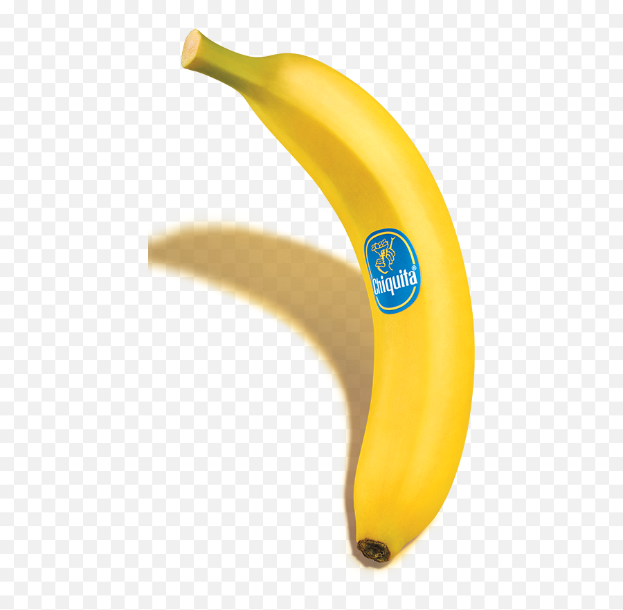 Chiquita Brand Story Who Is Miss Bananas - Chiquita Banana Png,Bananas Icon