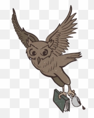 About Us - The Book Nook Stirling Falconiformes png
