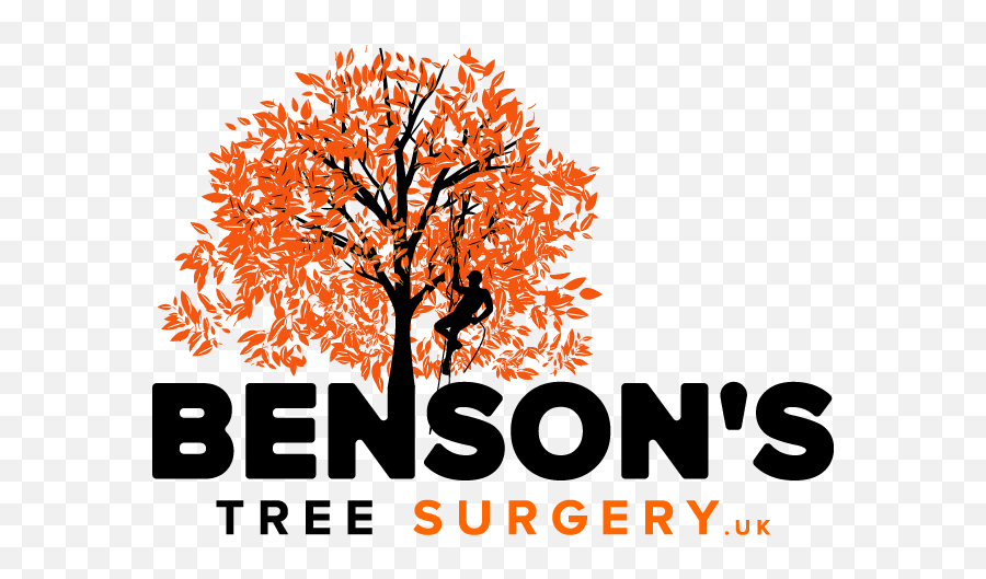 Bensonu0027s Tree Surgery Ltd U2013 Arborist And Surgeon - Tree Surgery Logo Png,Tree From Above Png