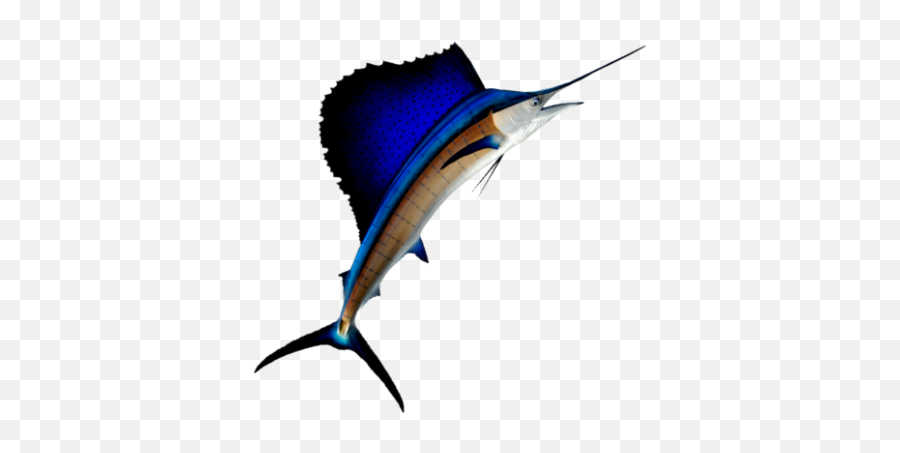 Costa Rica Fishing Charters Los Suenos Marina - Sailfish Transparent Background Png,Marlin Icon Svg