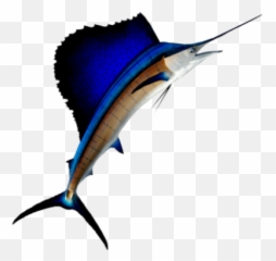 Costa Rica Fishing Charters Los Suenos Marina - Sailfish Transparent Background png