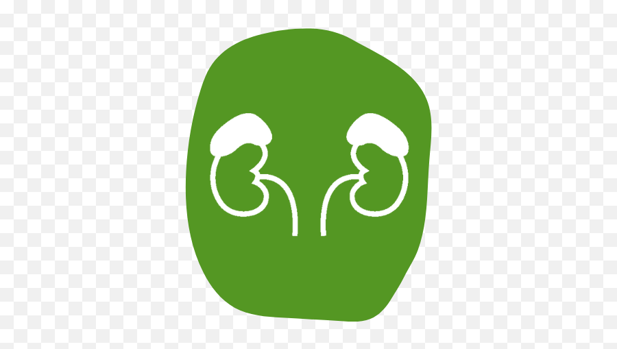 Home - Language Png,Adrenal Icon