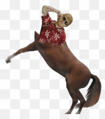 Horse Centaur Gif - png