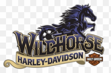 New U0026 Used Motorcycle Dealer Wildhorse Harley - Davidson Horse png
