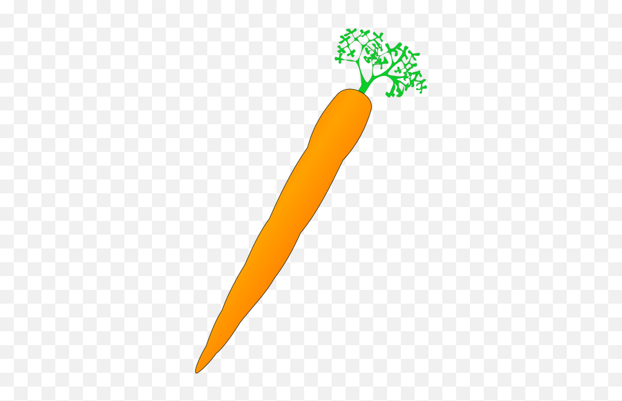 Vector Image Of Orange Carrot Public Domain Vectors - Short And Long Carrot Clipart Png,Carrot Icon Vector
