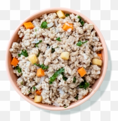 Chicka Bow Wow - A Pup Above Dog Food png