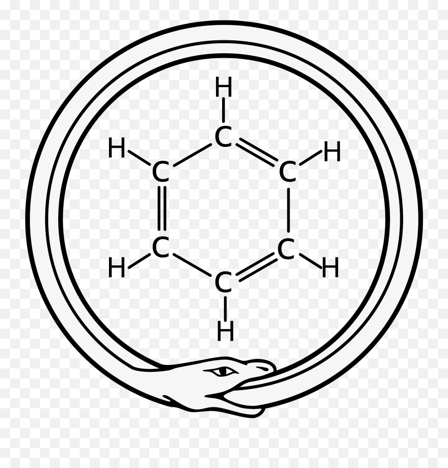 An Alchemical Snake A Day - Dreaming Chemist And A Molecule Ouroboros Benzene Png,Ouroboros Transparent