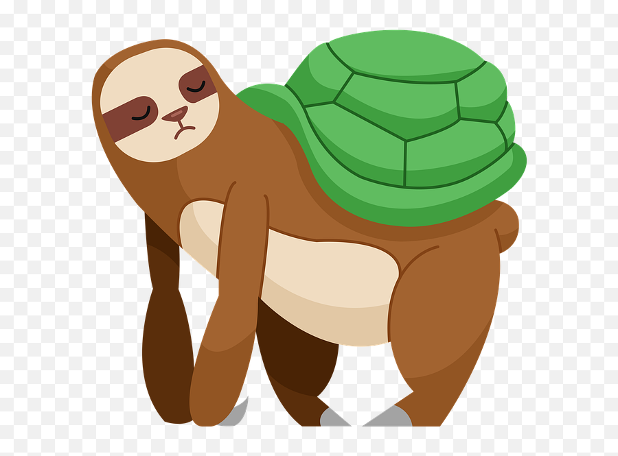 Sloth Turtle Shell Cartoon - Free Image On Pixabay Turtle And Sloth Png,Turtle Shell Icon