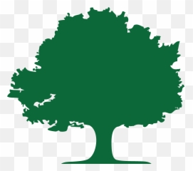 China Name The Habitats - Silhouette Oak Trees Clipart png