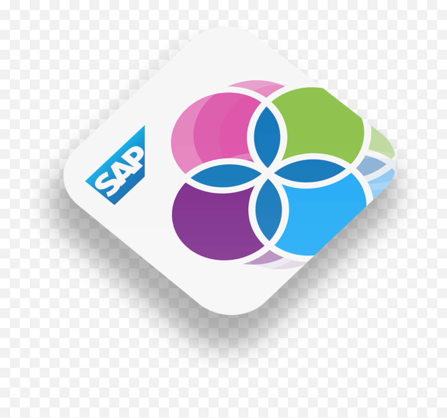 Sap Csr 2020 - Language Png,Csr App Icon