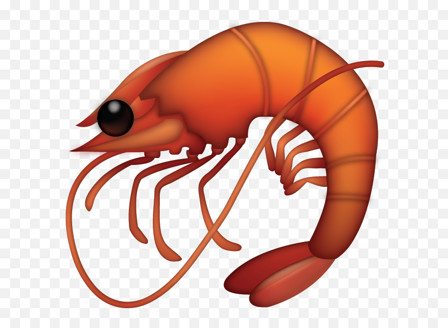 Shrimp Emoji Free Download Ios Emojis - Shrimp Emoji Iphone Png,Splash Emoji Png