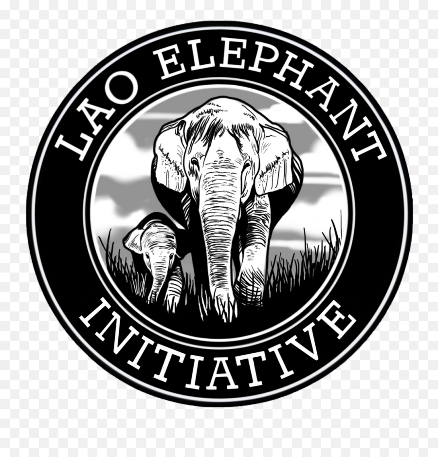 Elephant Boxy Cropped Tee - Label Png,Elephant Logo Brand