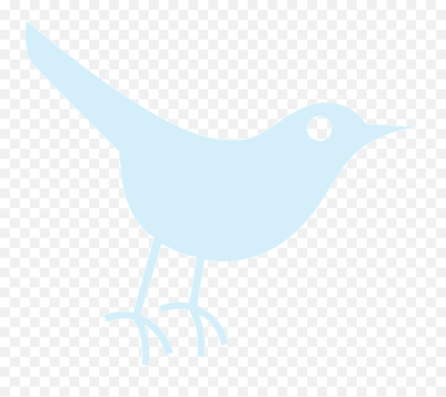 White Twitter Icon Png Transparent - Social Media,White Twitter Logo Transparent