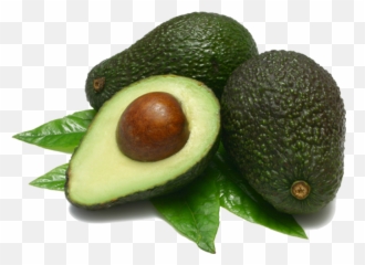 Download Avocado Transparent Background - Transparent Background Avocado Png,Avocado Transparent Background