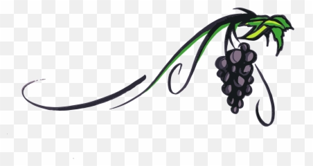 Simple Free Vine Cliparts Transparent - Art Wine Grapes png