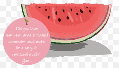 Download Seed Fact - Watermelon Png Image With No Background Watermelon,Watermelon Slice Png