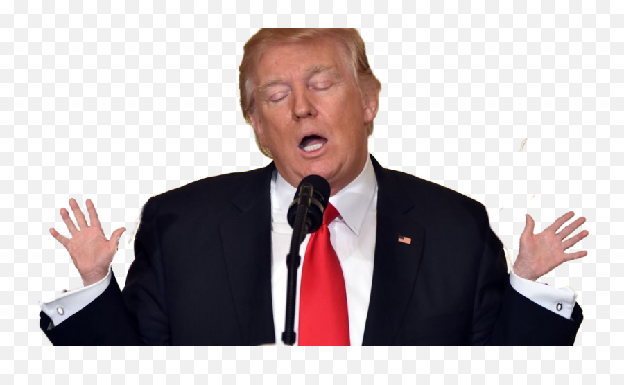 Donald Trump Png - Donald Trump Gif Png,Donald Trump Transparent