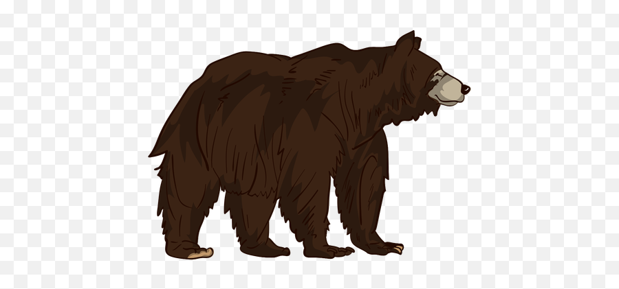 Brown Grizzly Bear Cartoon - Transparent Grizzly Bear Cartoon Png,Grizzly Bear Png
