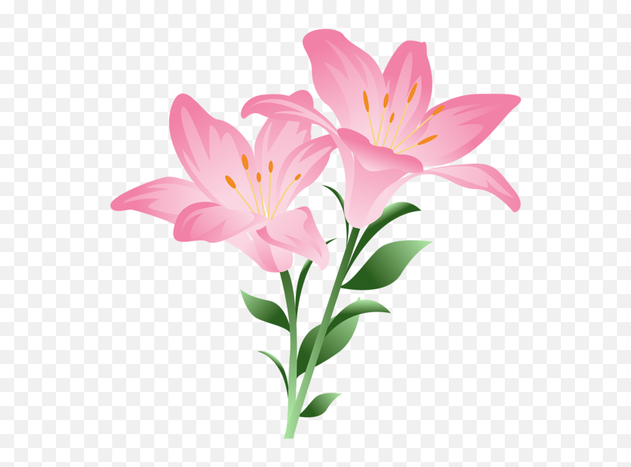 Lily Clipart Watercolor Transparent Free - Pink Lily Flower Clipart Png,Lily Transparent Background