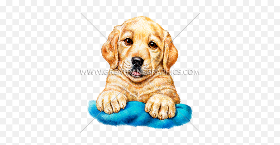 Golden Retriever Puppy Production Ready Artwork For T - Labrador Retriever Png,Golden Retriever Transparent Background
