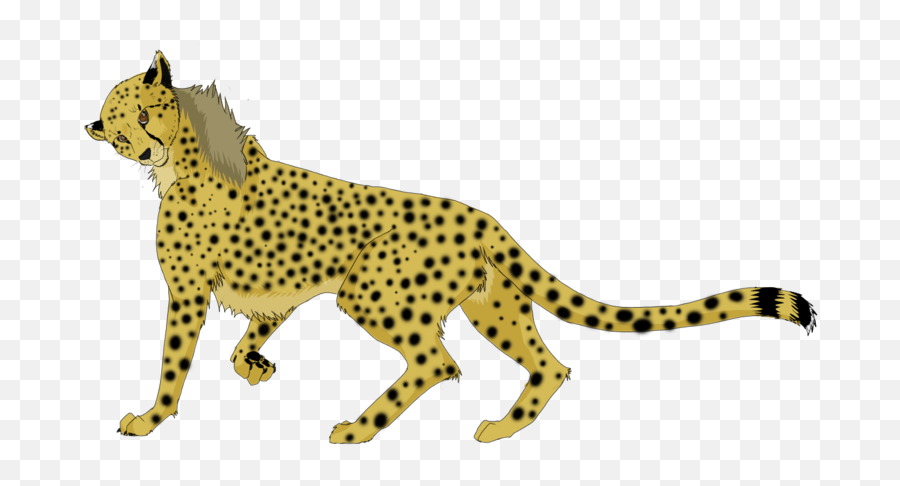 Running Cheetah Png Background Image - Cheetah Running Gif Png,Cheetah Png