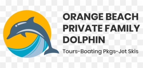 Pkg U201c A U201d Discovery Excursion - Orange Beach Dolphin Tours Cooper Lighting png