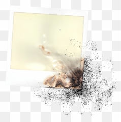 Polaroid Photograph - Old Frame Burn png