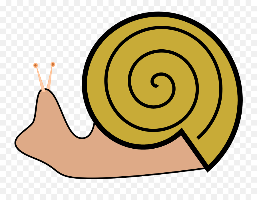 Snail Slug Roman - Shell Clip Art Png,Slug Png
