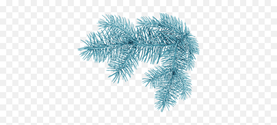 Download Hd Christmas - Tree Branch Christmas Tree Branch Winter Png,White Christmas Tree Png