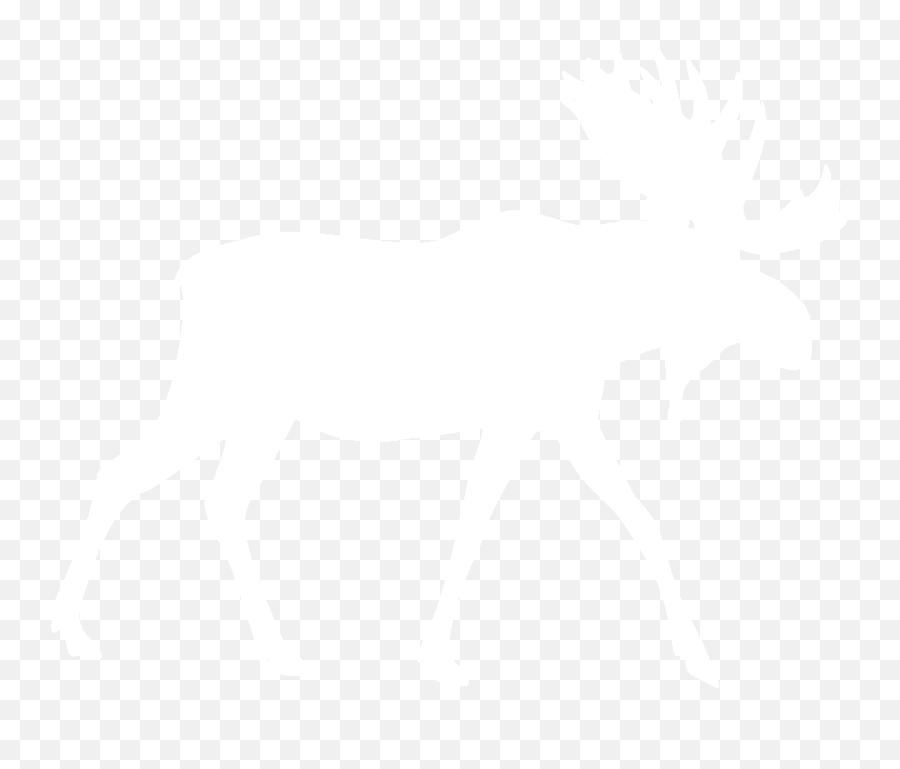 Download Hd Moose Elk Png - White Moose Png,Elk Png