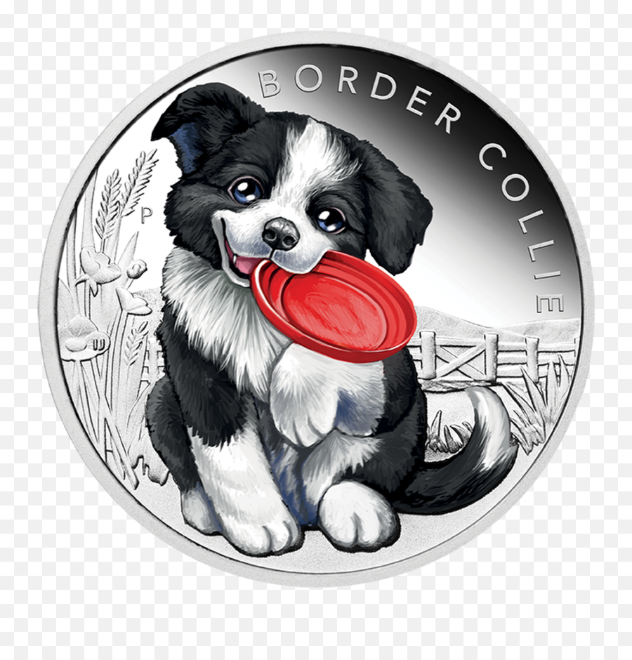 2018 Puppies - Border Collie 12oz Silver Proof Coin Moedas De Cachorros Png,Border Collie Png