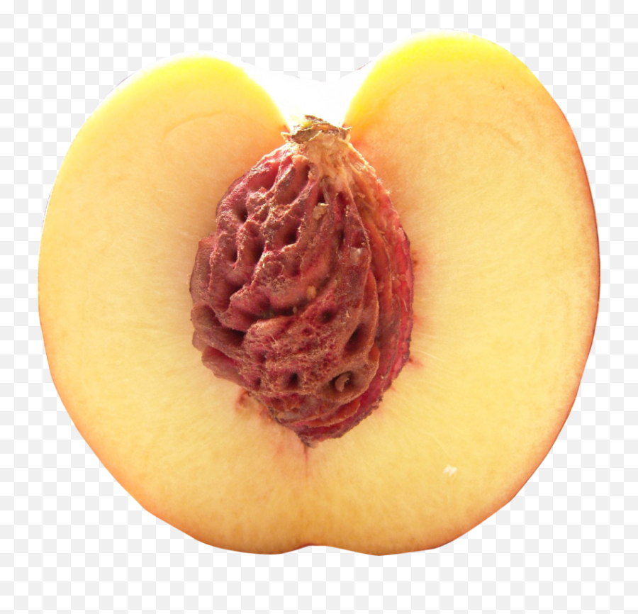 Half Peach Png Image - Peach Half,Peach Png