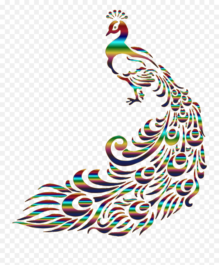 Peacock 6 No Background White House - Peacock Line Art Png,White House Transparent Background