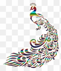Peacock 6 No Background White House - Peacock Line Art Png,White House Transparent Background