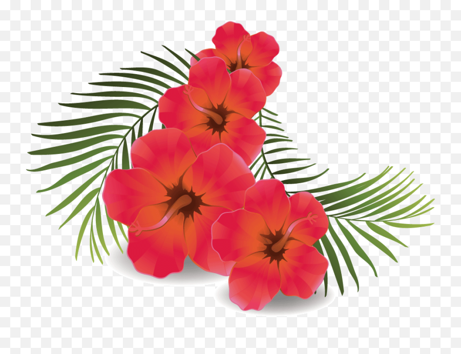 Download Hd Rose Flower Png - Transparent Hibiscus Flower Hibiscus Flower Transparent Background,Rose Flower Png