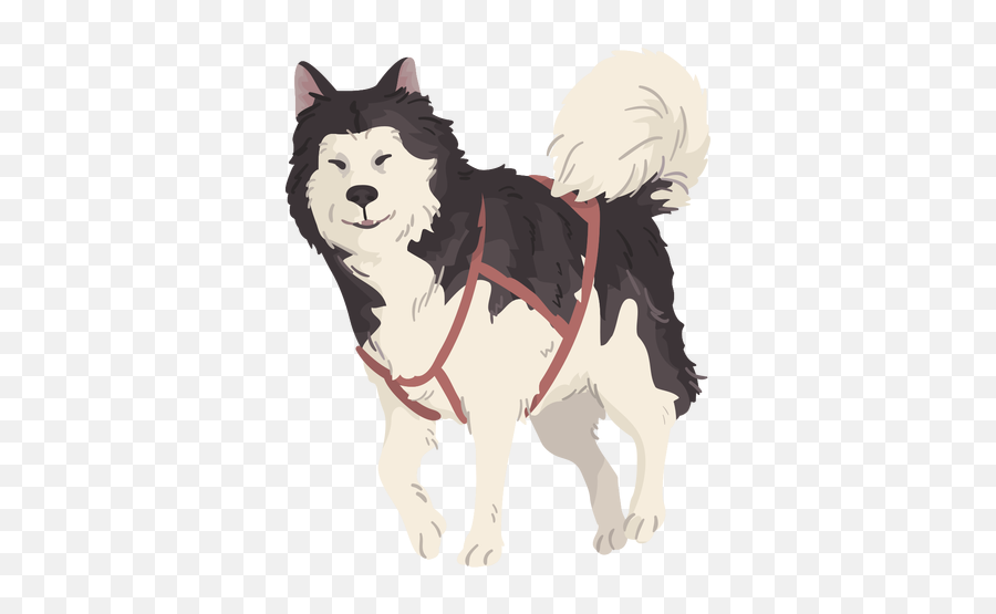 Cute Wolf Illustration - Transparent Png U0026 Svg Vector File Dibujo Hombre Con Perro Esquimal,Husky Transparent Background