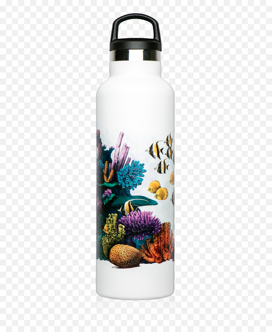 Thermal Bottle With Drawing Of Coral Reef Png