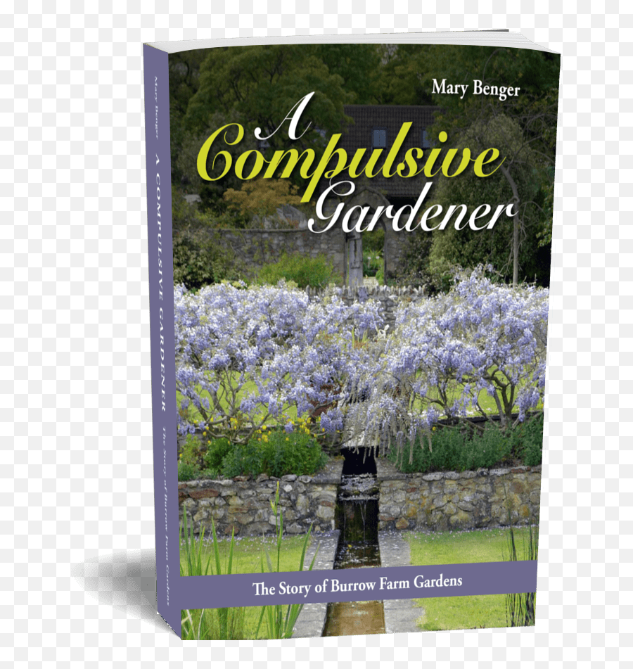 A Compulsive Gardener - Burrow Farm Gardens Delphinium Png,Ground Cover Png