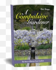 A Compulsive Gardener - Burrow Farm Gardens Delphinium png