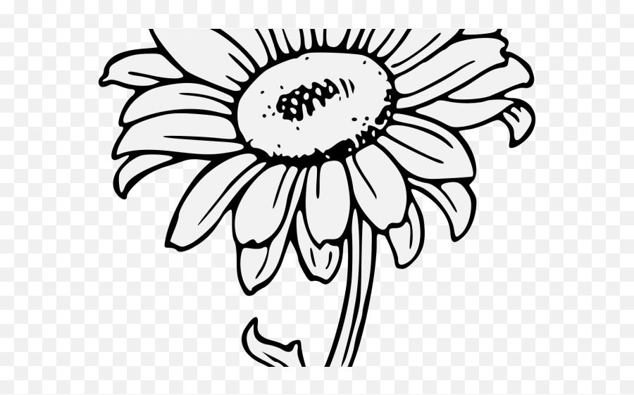 Sunflower Drawing Png - Drawn Sunflower Traceable Black And White Sunflower Clipart,Sunflower Clipart Png