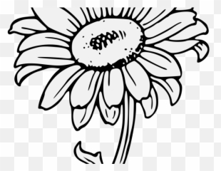 Sunflower Drawing Png - Drawn Sunflower Traceable Black And White Clipart