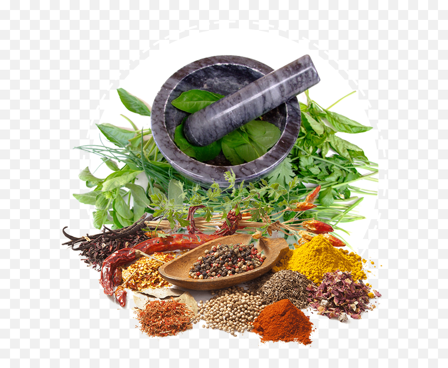 Download Ayurveda Services Health Medicine Herbalism Herbal - Ayurveda Png,Herb Png