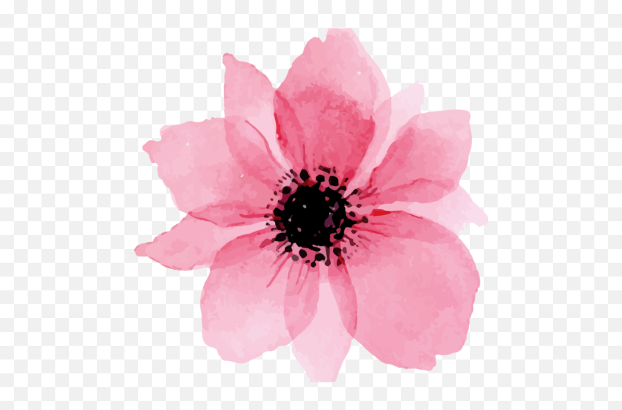 Cropped - Watercolor Flowers Png,Beautiful Png