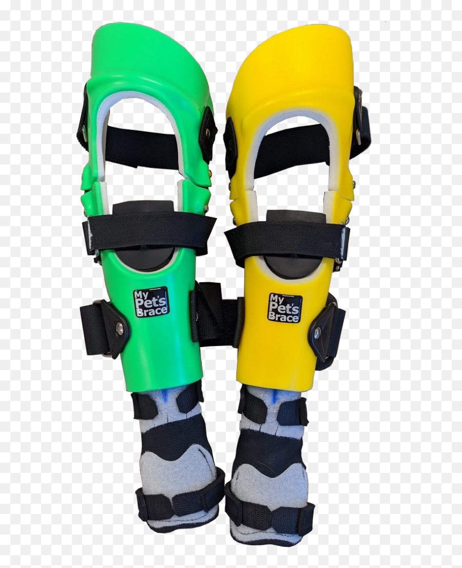 Custom Dog Braces U0026 Prosthetics My Petu0027s Brace - Knee Pad Png,Icon Knee Shin Guards