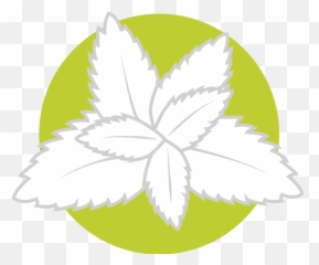 Nicotine Pouch Flavors - Hemp Png,Flavor Icon
