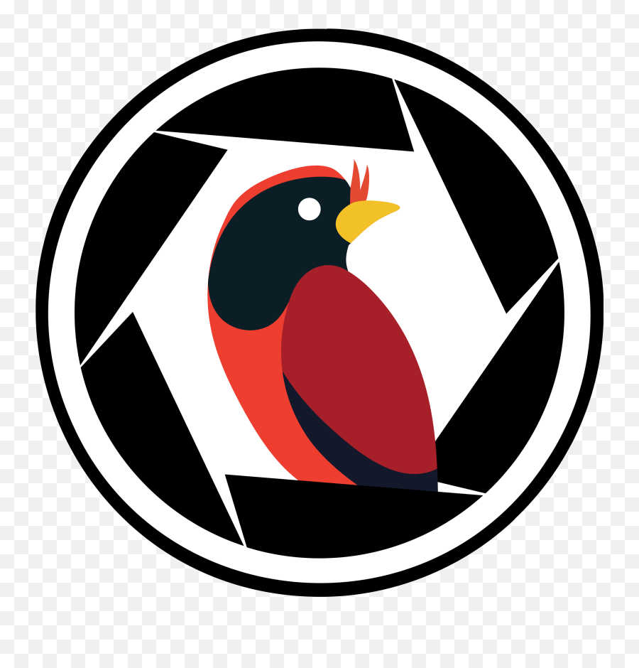 Archiwa Unity3d - Birding Simulator Language Png,Unity 3d Icon
