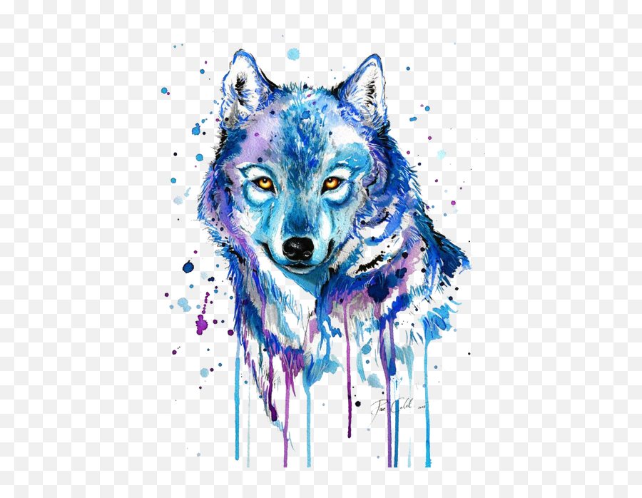 Watercolor Wolf Png U0026 Free Wolfpng Transparent - Wolf Drawing Png,Wolf Face Png