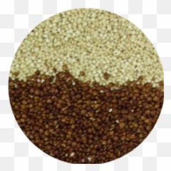 Buy Quinoa Buyquinoa Twitter - Grains Of Paradise png